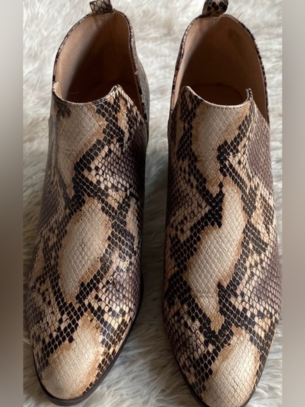 Lola Cut Out Stacked Heel Dress Booties in Snake color